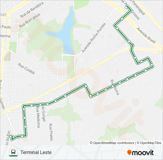 320 SUL / LESTE - RUA ITÁLIA Bus Line Map
