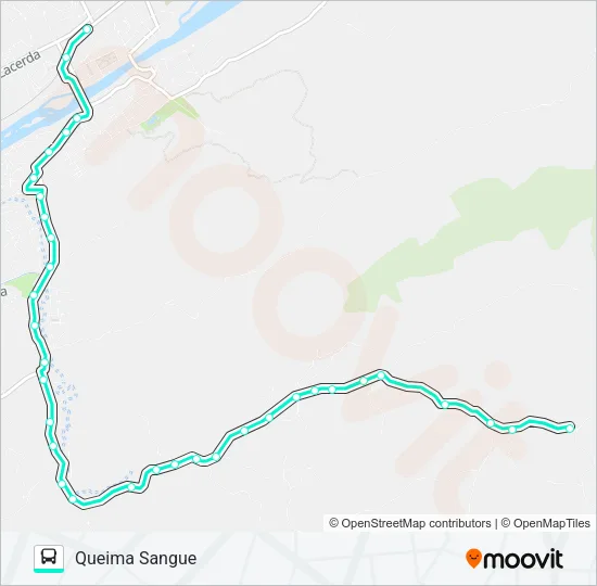 210 Bus Line Map