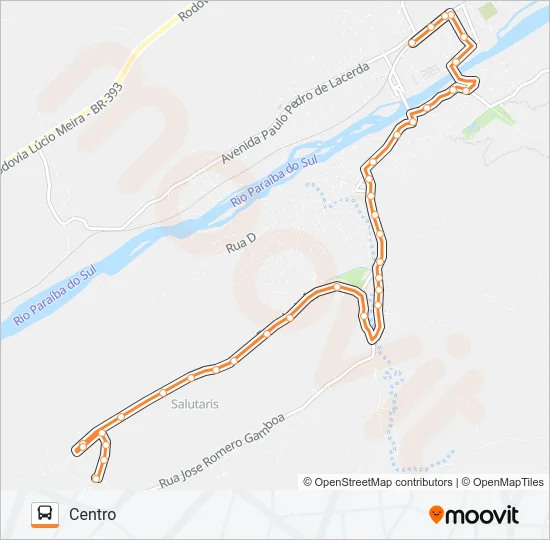 110 Bus Line Map