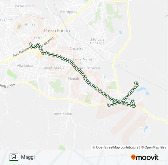 22 CENTRO / MAGGI Bus Line Map