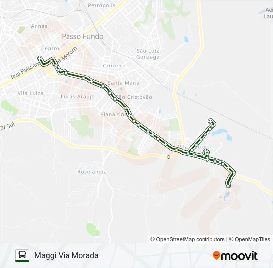 22 CENTRO / MAGGI Bus Line Map