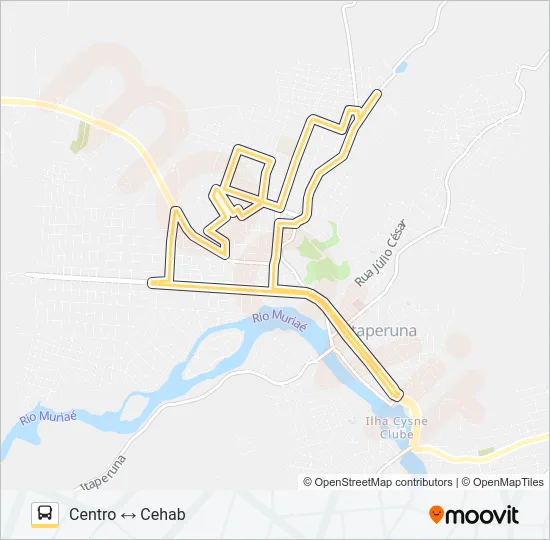 20 Bus Line Map