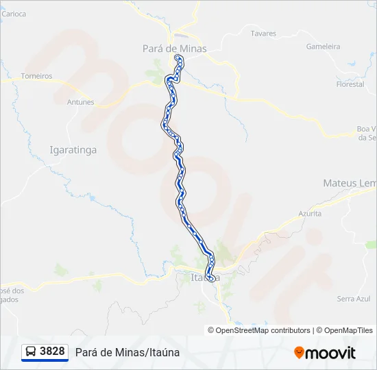 3828 Bus Line Map