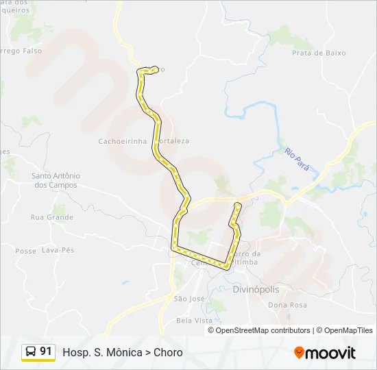 91 Bus Line Map