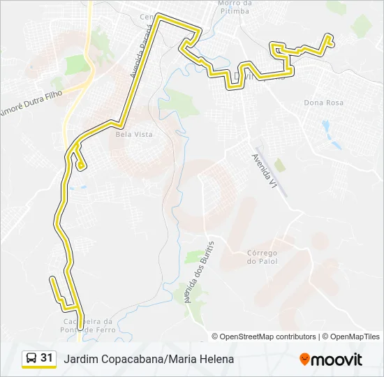 31 Bus Line Map