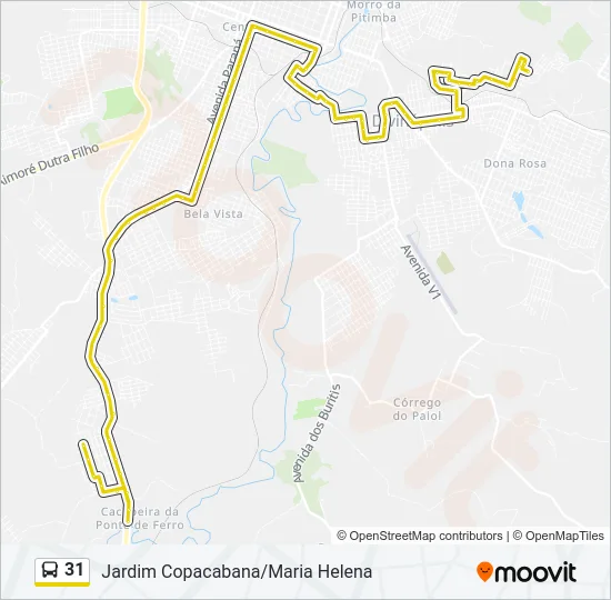 31 Bus Line Map