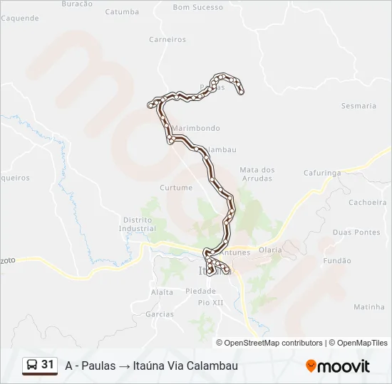 31 Bus Line Map