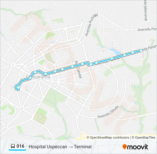 016 Bus Line Map