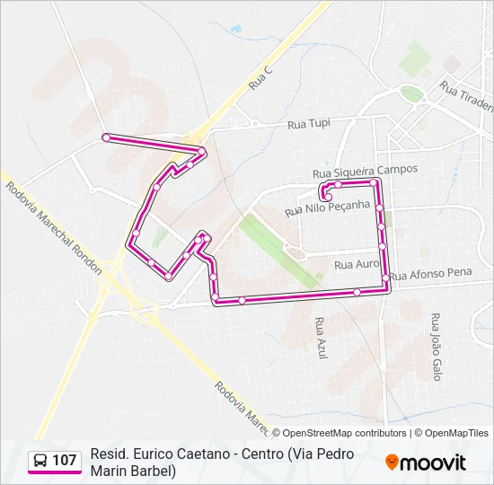 107 Bus Line Map