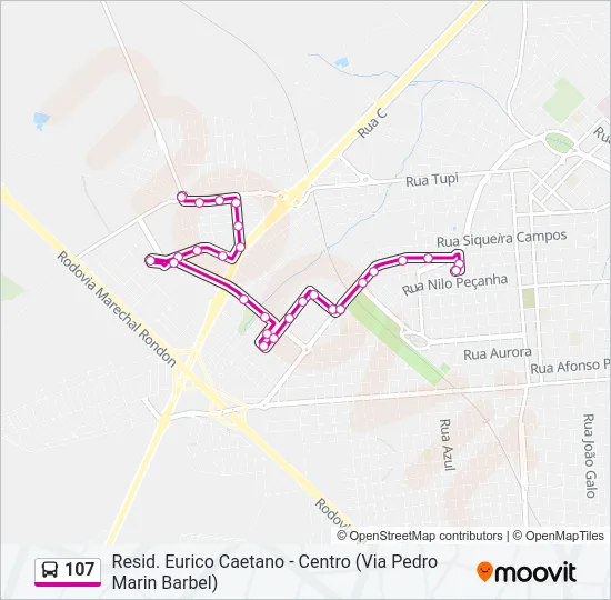 107 Bus Line Map