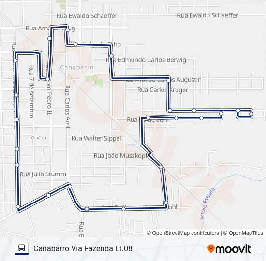 004 CANABARRO VIA FAZENDA LT.08 Bus Line Map
