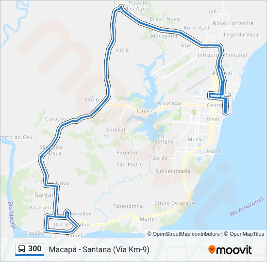 300 Bus Line Map