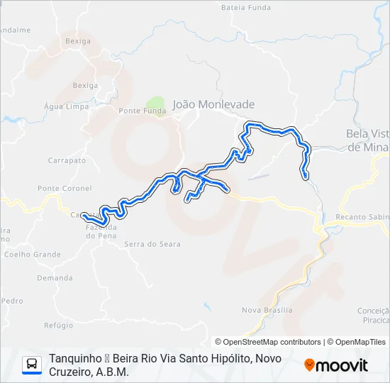 31 Bus Line Map