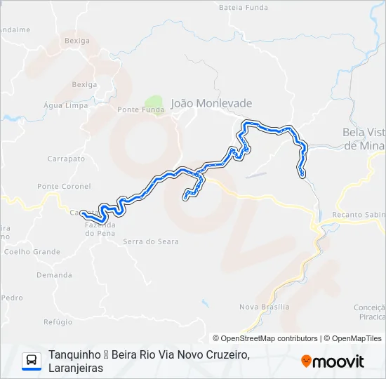 31 Bus Line Map