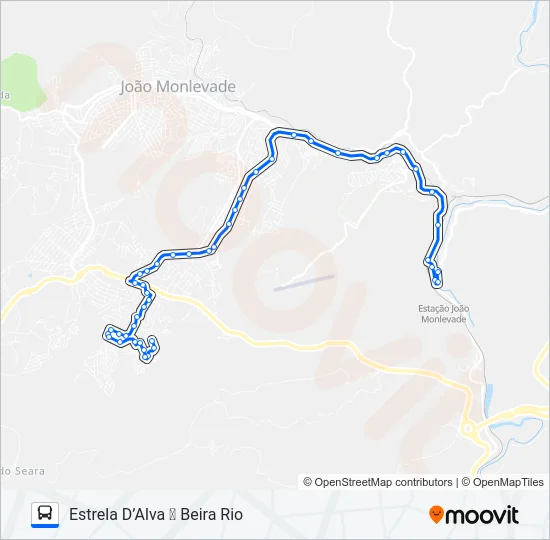 31 Bus Line Map