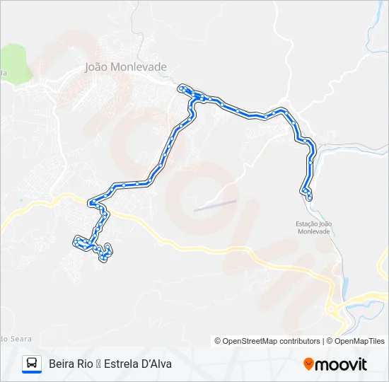 31 Bus Line Map