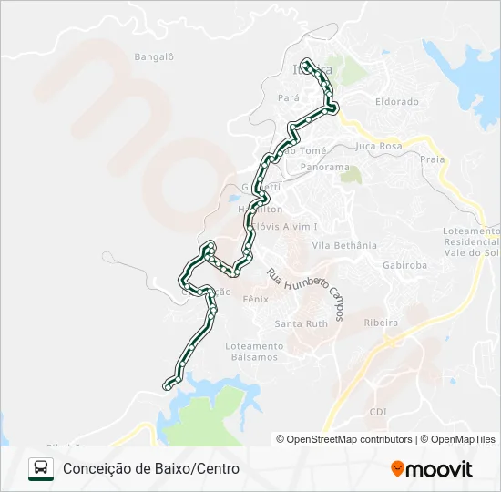 100 Bus Line Map
