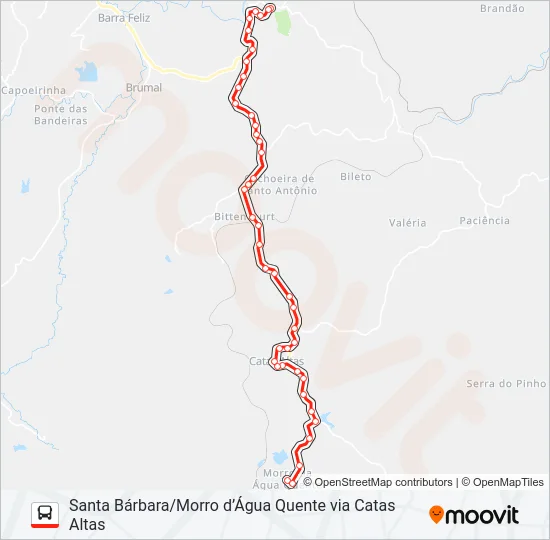 4597 Bus Line Map
