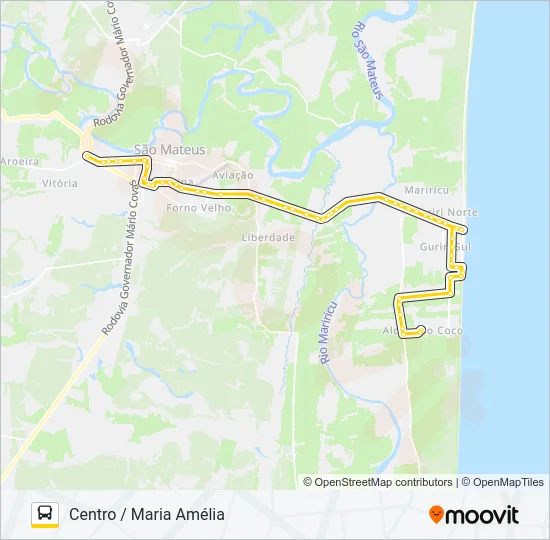 51 CENTRO - BOSQUE Bus Line Map