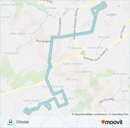 222 santa clara Route Schedules Stops Maps Circular Updated