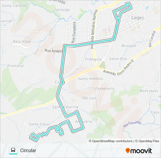 222 SANTA CLARA Bus Line Map