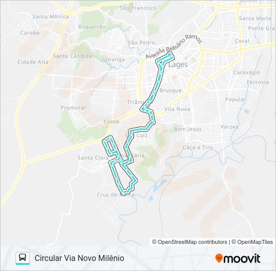 Mapa da linha 221 SANTA CATARINA de ônibus