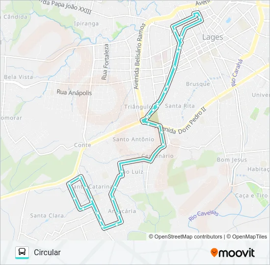 221 SANTA CATARINA Bus Line Map