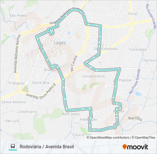 Mapa da linha 321 RODOVIÁRIA / AVENIDA BRASIL de ônibus