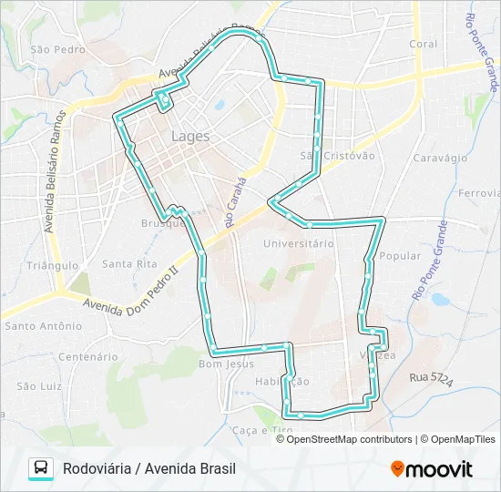 321 RODOVIÁRIA / AVENIDA BRASIL Bus Line Map