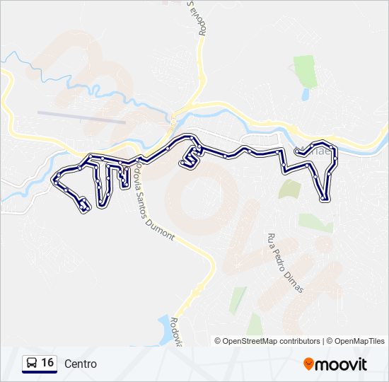 16 Route: Schedules, Stops & Maps - Centro (Updated)