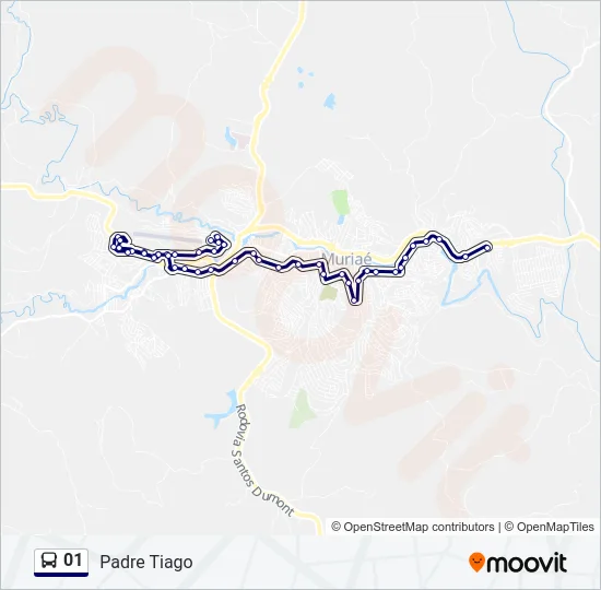 01 Bus Line Map