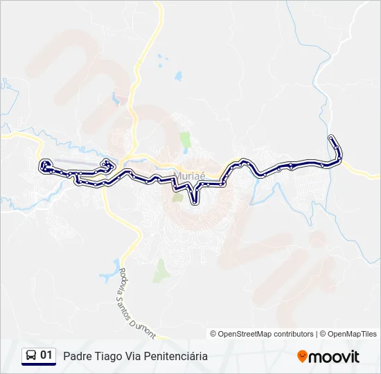 01 Bus Line Map