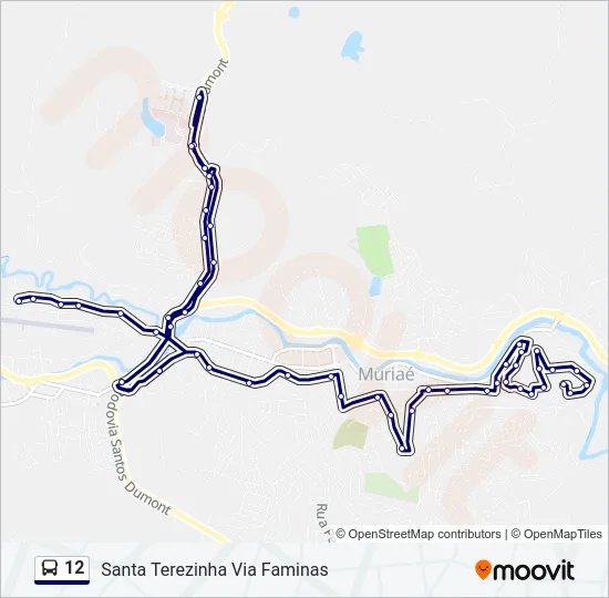 12 Bus Line Map