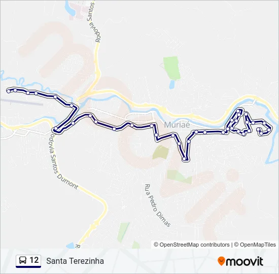 12 Bus Line Map