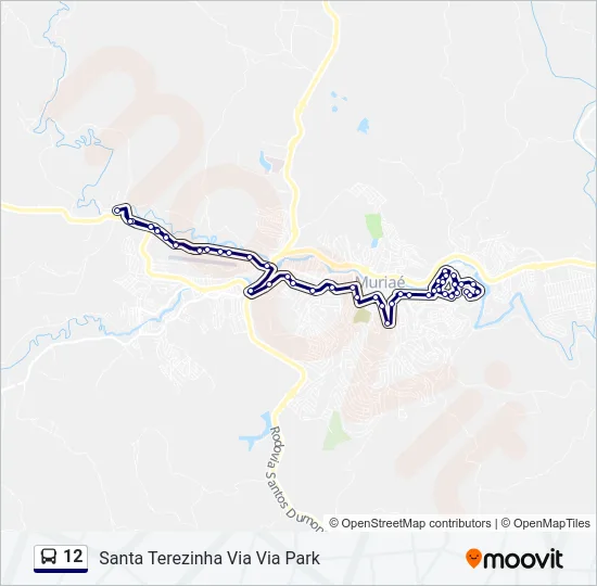 12 Bus Line Map