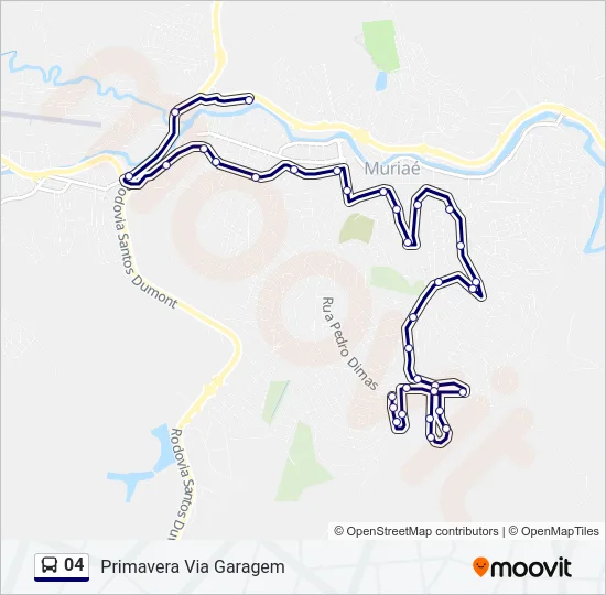 04 Bus Line Map