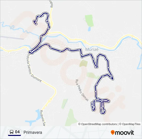 04 Bus Line Map