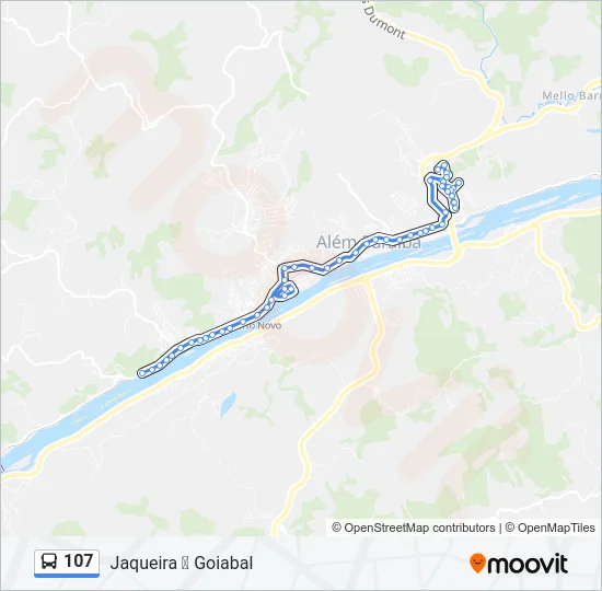 107 Bus Line Map