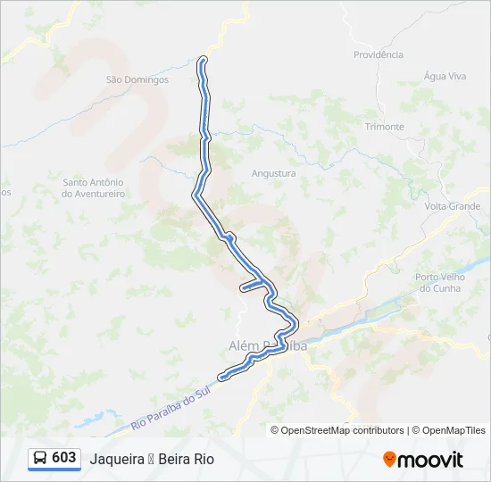 603 Bus Line Map
