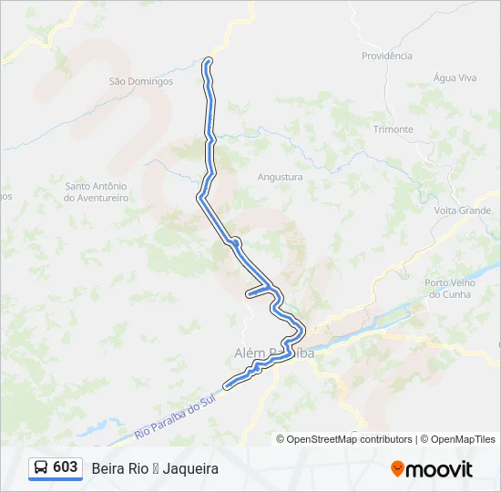 603 Bus Line Map