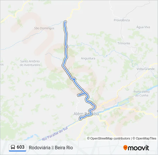 603 Bus Line Map