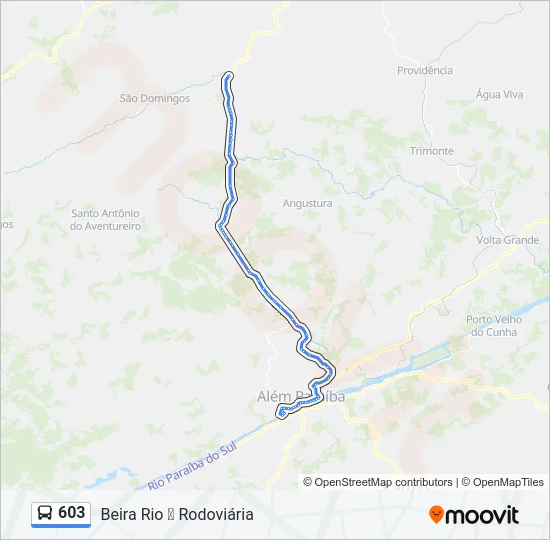 603 Bus Line Map