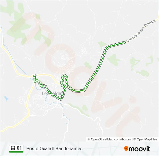 01 Bus Line Map