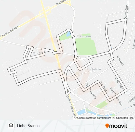 BRANCA Bus Line Map