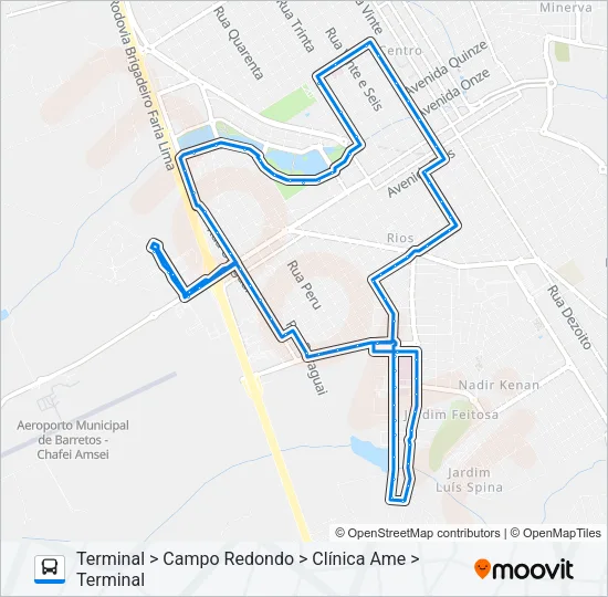 PIO XII Bus Line Map
