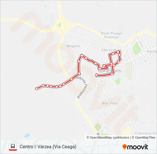 008 VÁRZEA Bus Line Map