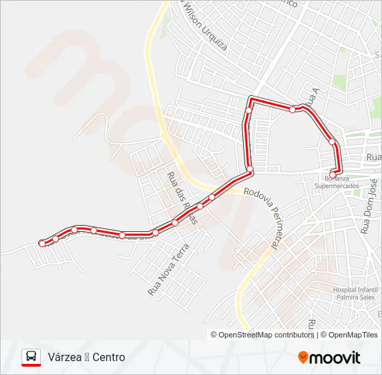 008 VÁRZEA Bus Line Map