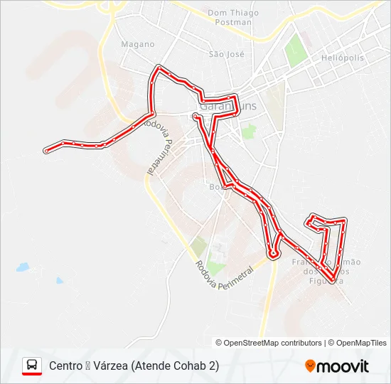 008 VÁRZEA Bus Line Map