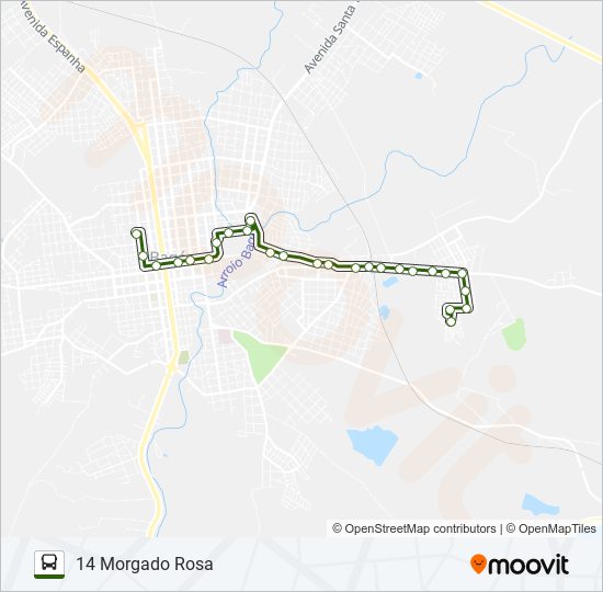 14 MORGADO ROSA bus Line Map