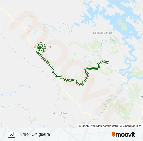 KLABIN PUMA KLABIN PUMA Bus Line Map